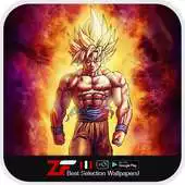 Free play online Goku Wallpaper [Fans Art] APK